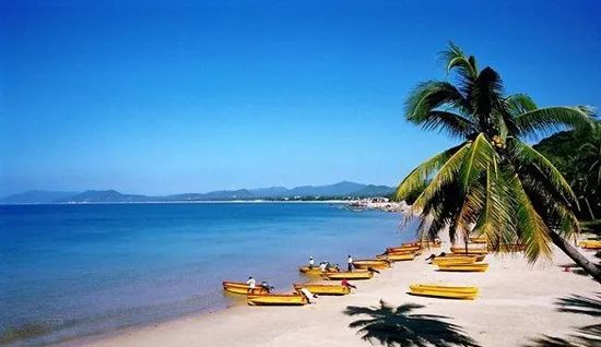 海南,嘉宾云集,观众热情洋溢